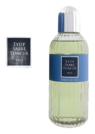 Paris Gecesi (Paris Nights) by Eyüp Sabri Tuncer