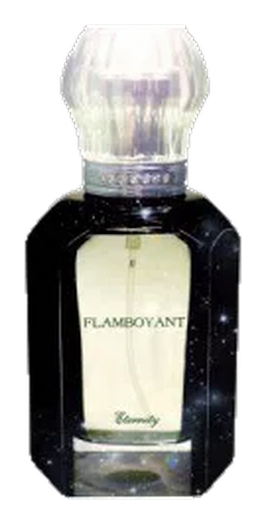 Eternity by Flamboyant