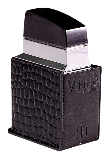 Viking Pour Homme by Flavia
