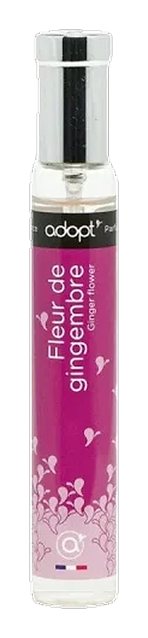 Fleur de Gingembre by Adopt Parfums