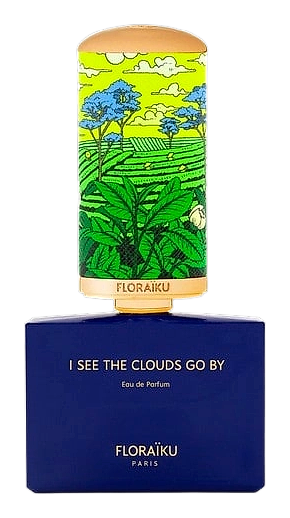 I See the Clouds Go By by Floraïku