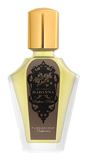 Habanna by Florascent