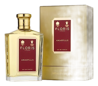 Amaryllis by Floris