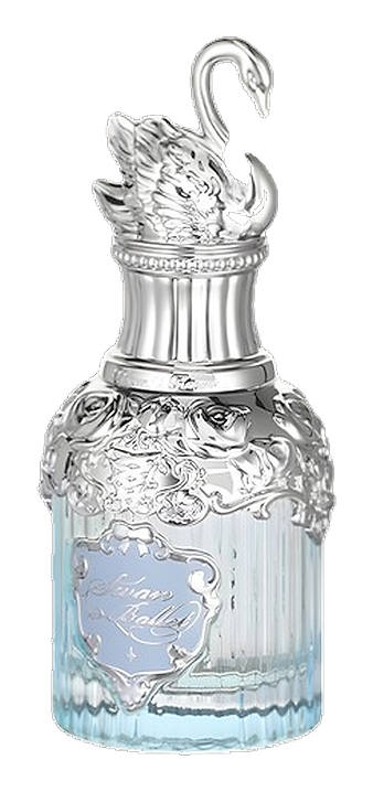 Ribbon Ballet by Flower Knows