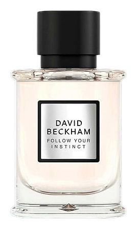 Follow Your Instinct by David Beckham