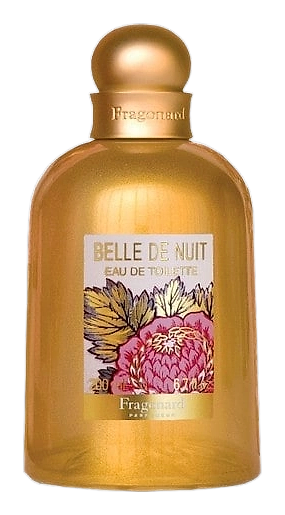 Belle De Nuit by Fragonard