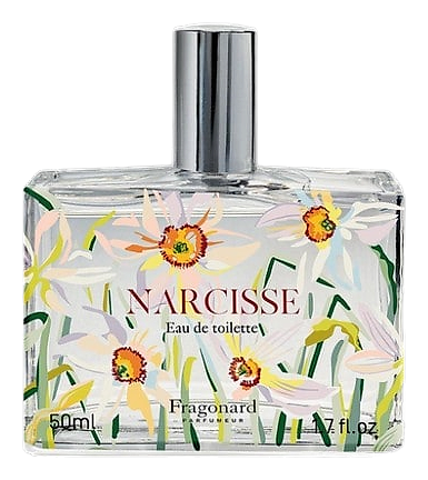 Narcisse by Fragonard