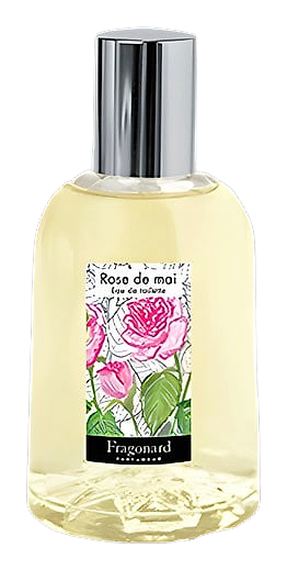 Rose De Mai by Fragonard