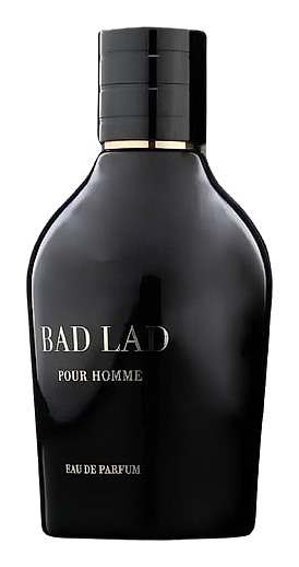 Bad Lad Pour Homme by Fragrance World
