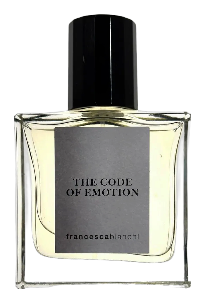 The Code Of Emotion by Francesca Bianchi