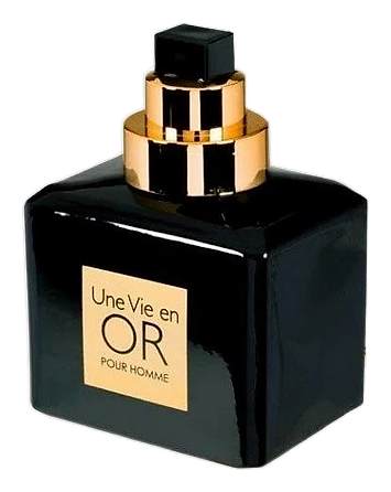 Une Vie en Or pour Homme by Frederic M