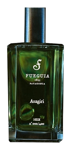 Fueguia 1833 Asagiri