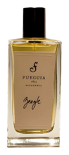 Beagle by Fueguia 1833