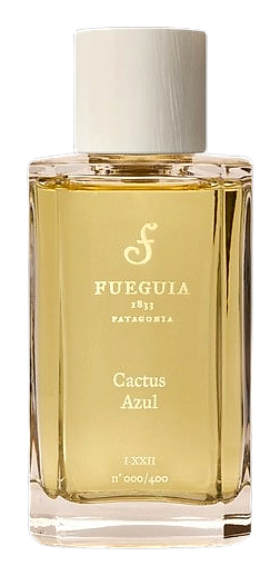 Cactus Azul (new) by Fueguia 1833