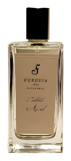 Cactus Azul by Fueguia 1833