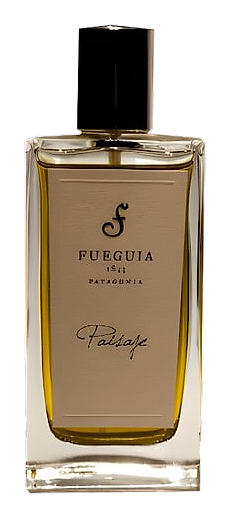 Paisaje by Fueguia 1833