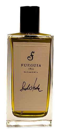 Sudestada by Fueguia 1833