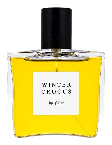 Winter crocus by fūm