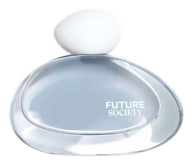 Wandering Rain by Future Society