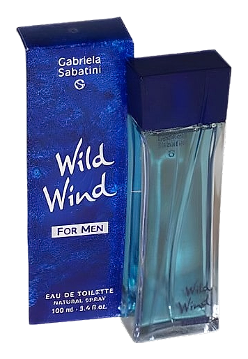 Wild Wind for Men by Gabriela Sabatini