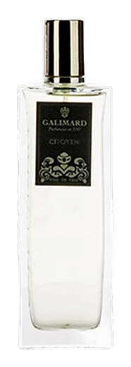 Citoyen by Galimard