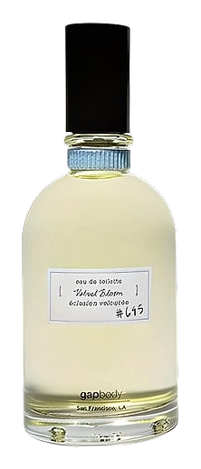 Velvet Bloom No.695 by Gap