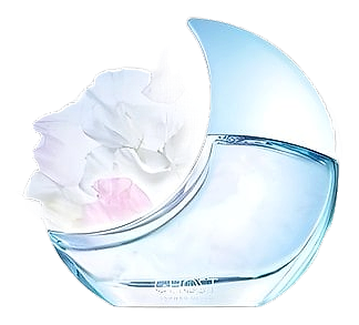 Ghost Summer Dream by Ghost