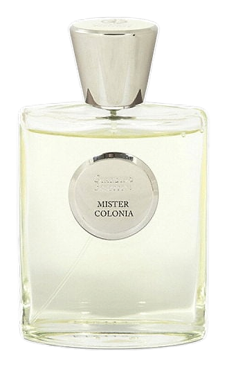 Mister Colonia by Giardino Benessere