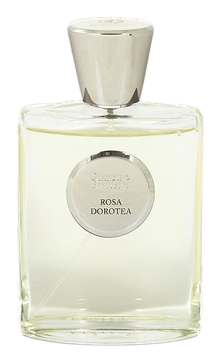 Rosa Dorotea by Giardino Benessere