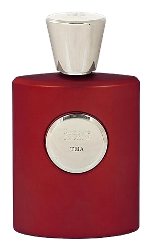 Teia by Giardino Benessere
