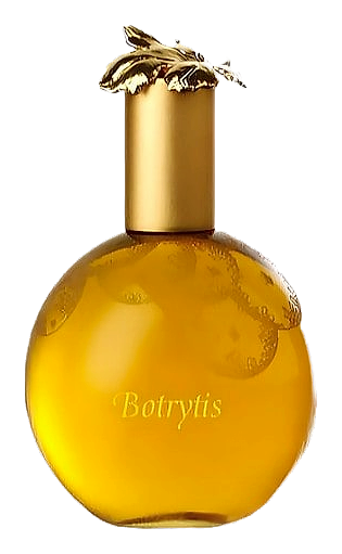 Botrytis by Ginestet
