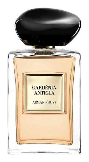 Gardénia Antigua by Giorgio Armani