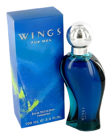 Wings For Men by Giorgio Beverly Hills