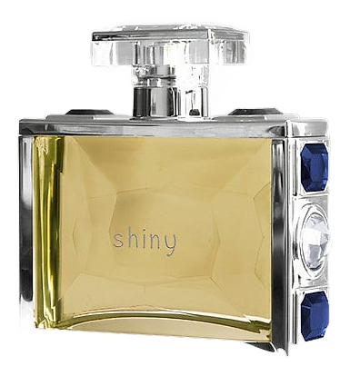 Shiny for Men by Giorgio Monti