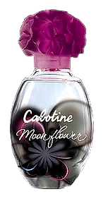 Cabotine Moon Flower by Grès