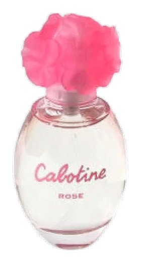 Cabotine Rose by Grès