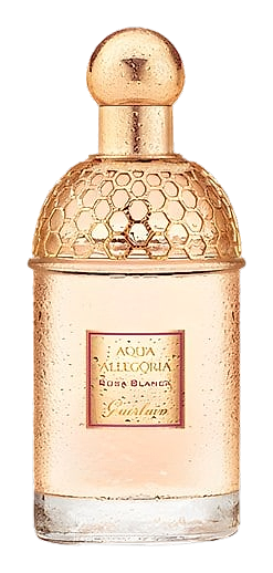 Aqua Allegoria Rosa Blanca by Guerlain