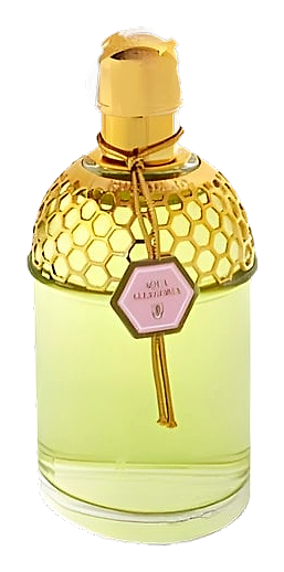 Rosa Magnifica by Guerlain – Eau de Toilette