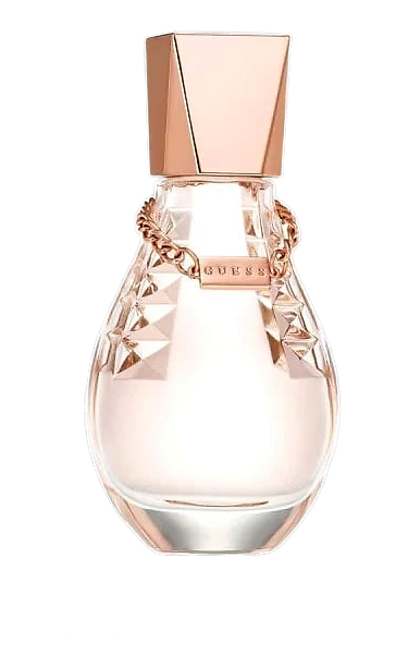 Guess Dare by Guess