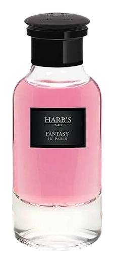 Fantasy in Paris by HARB'S