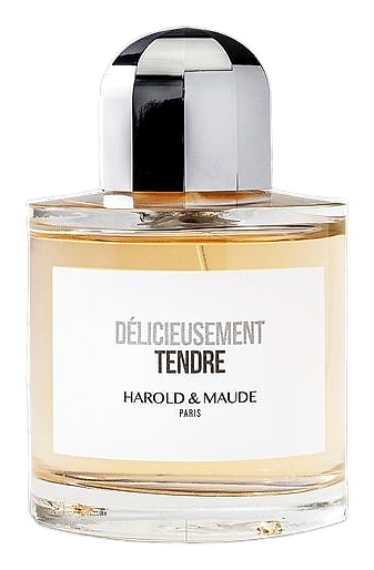 Harold & Maude Délicieusement Tendre