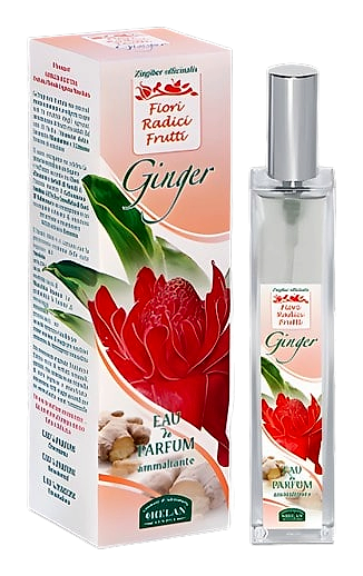 Ginger by Helan – Eau de Toilette