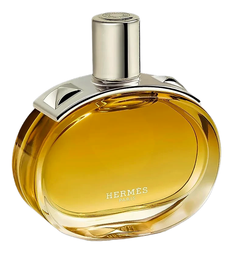 Hermès Barénia Intense