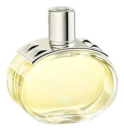 Barénia by Hermès