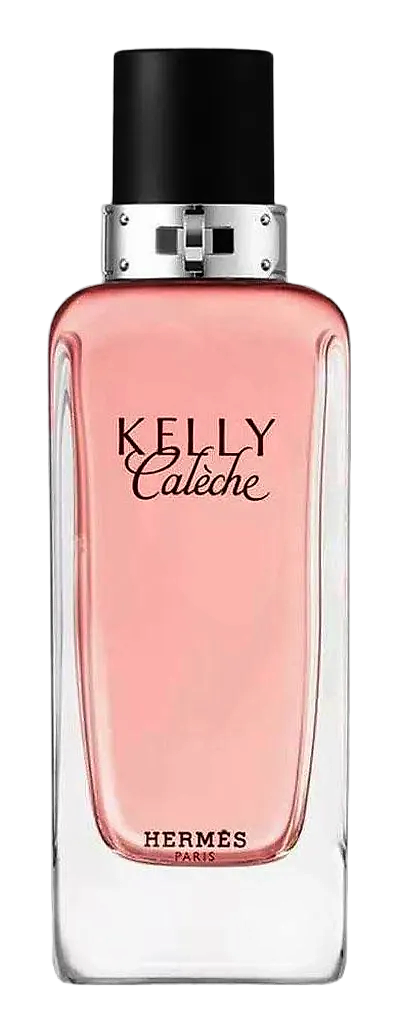 Kelly Calèche by Hermès