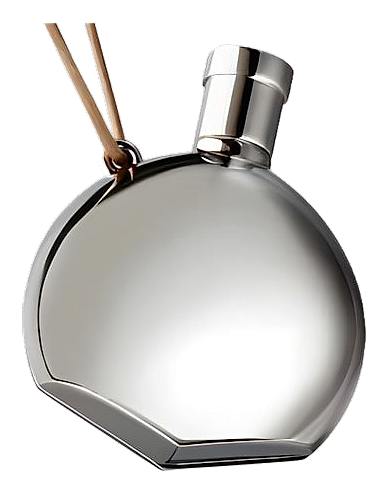 Parfum Des Merveilles by Hermès