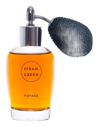 Voyage by Hiram Green
