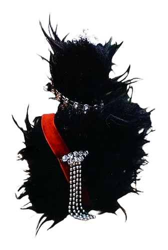 Cat Noir by House of Atropa