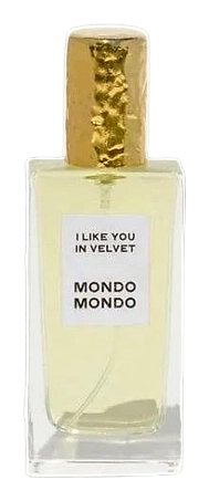 I Like You In Velvet by Mondo Mondo