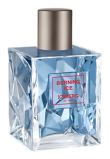 Burning Ice by Iceberg